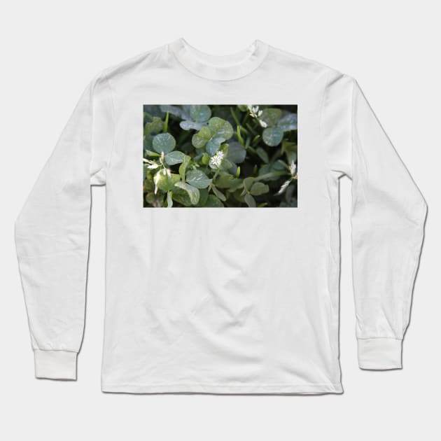 Flower in the Shamrocks Long Sleeve T-Shirt by Artofmiarussell 